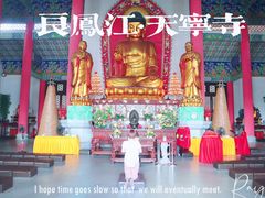 -南宁良凤江国家森林公园