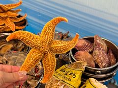 -乔哥铭洋海鲜自助(皇城恒隆广场店)