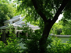 -沈阳植物园