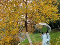 -四里河滨水生态公园