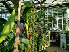 -国家植物园南园