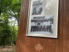 -西湖风景区十里琅珰-五云山