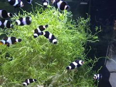 -沈阳海洋探索中心