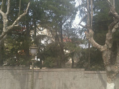 android_upload_pic-八大关景区