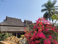 -西双版纳傣族园