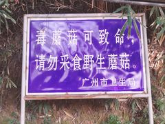 -火炉山森林公园