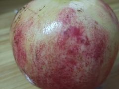 -PAGODA百果园(湛江城市美林店)