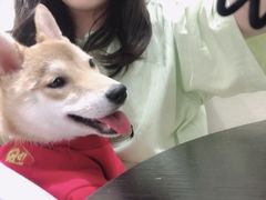 -逗柴咖啡屋·狗咖猫咖宠物桌游