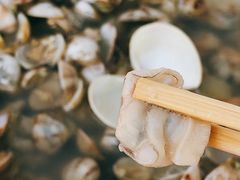 -红树林天天赶海