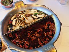 -九鼎轩脆毛肚火锅(三钢里店)