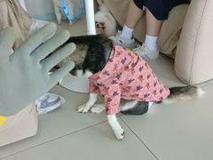 -怪兽屋·羊驼·猫咖·狗咖(俊华广场店)