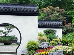 -上海共青森林公园