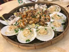 蒸白贝-新会鲜蚝鸡煲(新会总店)