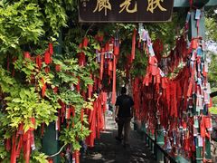 -莲池书院博物馆
