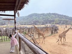-杭州野生动物世界