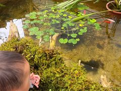 -国家植物园南园