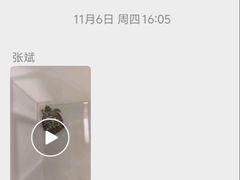 -北京观赏动物医院·24小时大型综合·猫专科·异宠专科