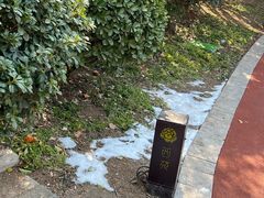 -西苑公园