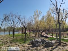 -东郊湿地公园
