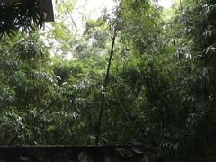 -广州兰圃