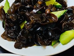 -玫瑰红烤羊排(北新桥三条店)