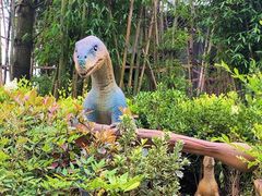-贵州森林野生动物园