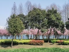 -石湖景区