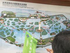 -白洋淀景区