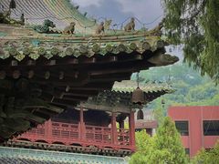 -报恩寺(平武县)