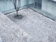 -龙美术馆(西岸馆)