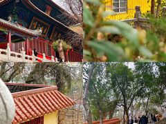 -宝通禅寺