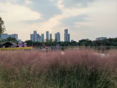 -映月湖公园