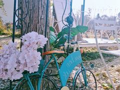 -安德鲁户外烧烤帐篷营地(马泉营店)