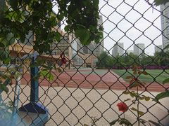 -清华大学附属小学商务中心区实验小学