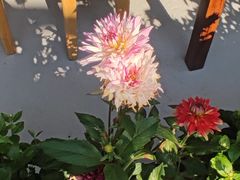 -赶海儿海鲜镖局·平价海鲜小馆(金沙滩店)