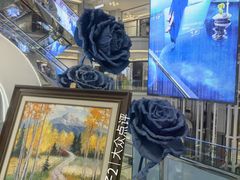 -红星美凯龙北京至尊MALL(东四环中路店)