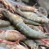 滑皮虾🦐 虾🦐中爱马仕