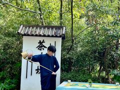 -天目湖山水园