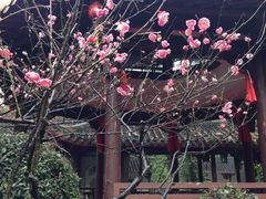 -杭州黄龙洞