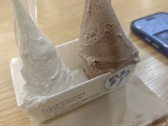 -野人先生Gelato(上海长宁龙之梦店)