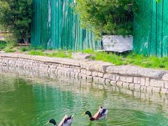-三里河公园
