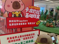 -远洋未来汇