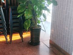 -御池园(顾村公园店)