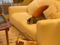 -住范儿家装·整体家装·装修设计