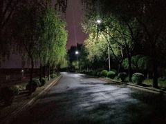 -丁香湖公园