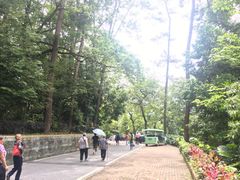 -广州市流溪河国家森林公园
