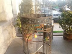 -老味道民宿(栈桥店)