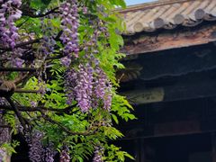 -朱家花园