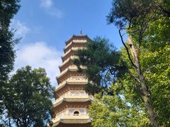 -灵谷景区