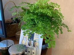 -秦美花卉(天朗·莱茵小城2期店)